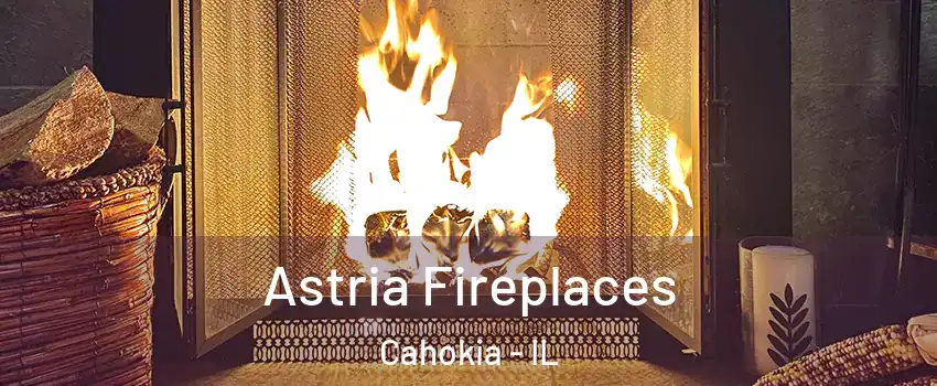  Astria Fireplaces Cahokia - IL