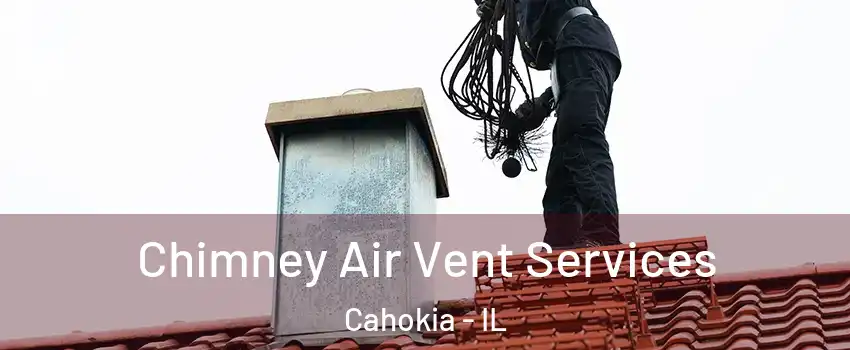  Chimney Air Vent Services Cahokia - IL