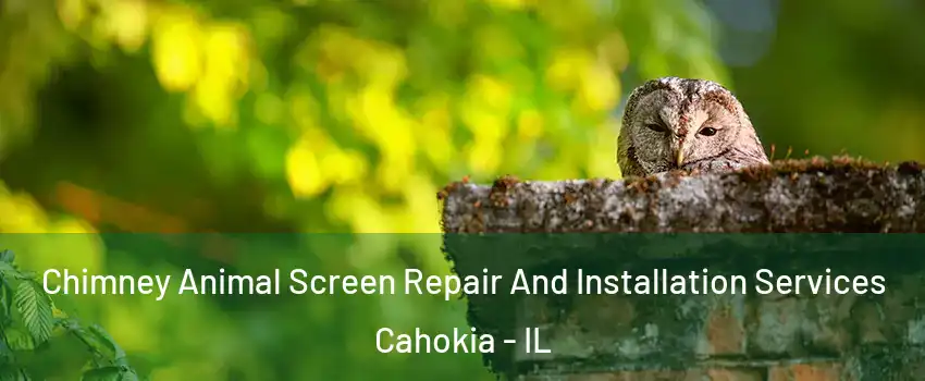  Chimney Animal Screen Repair And Installation Services Cahokia - IL