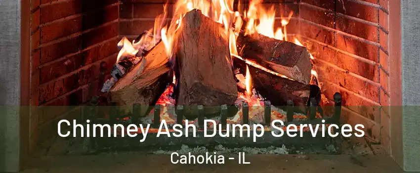  Chimney Ash Dump Services Cahokia - IL