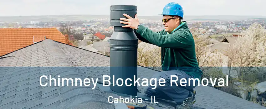  Chimney Blockage Removal Cahokia - IL
