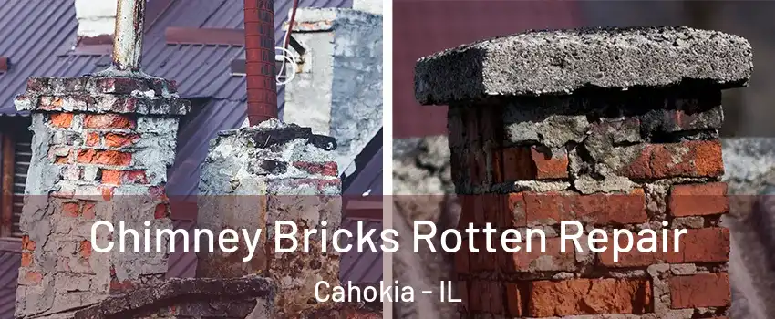  Chimney Bricks Rotten Repair Cahokia - IL