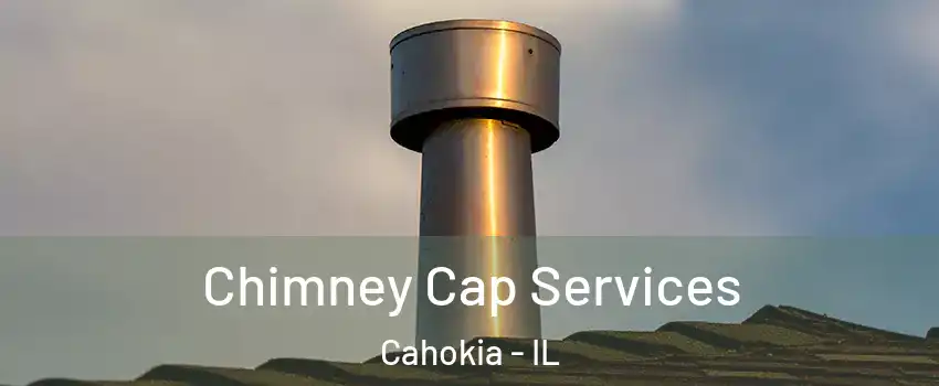  Chimney Cap Services Cahokia - IL