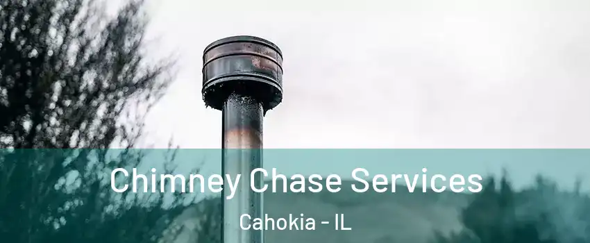 Chimney Chase Services Cahokia - IL