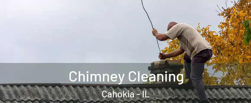  Chimney Cleaning Cahokia - IL