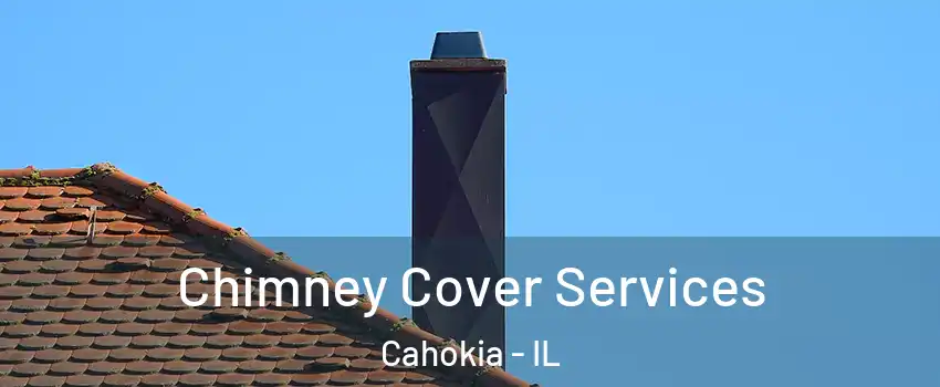  Chimney Cover Services Cahokia - IL