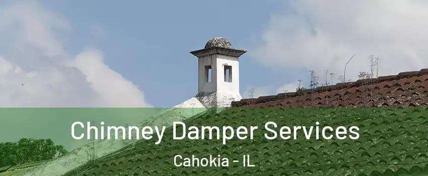  Chimney Damper Services Cahokia - IL