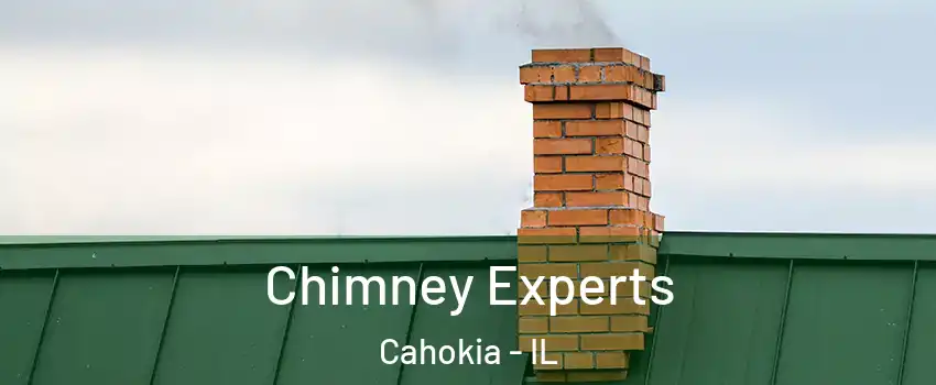  Chimney Experts Cahokia - IL