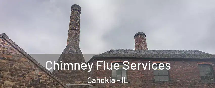  Chimney Flue Services Cahokia - IL