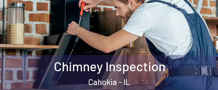  Chimney Inspection Cahokia - IL