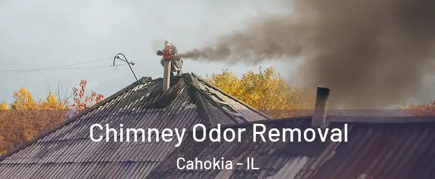  Chimney Odor Removal Cahokia - IL