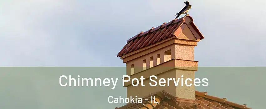 Chimney Pot Services Cahokia - IL