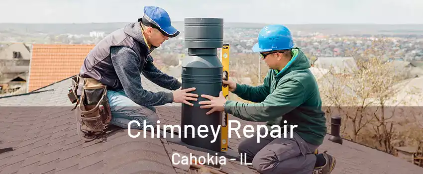  Chimney Repair Cahokia - IL