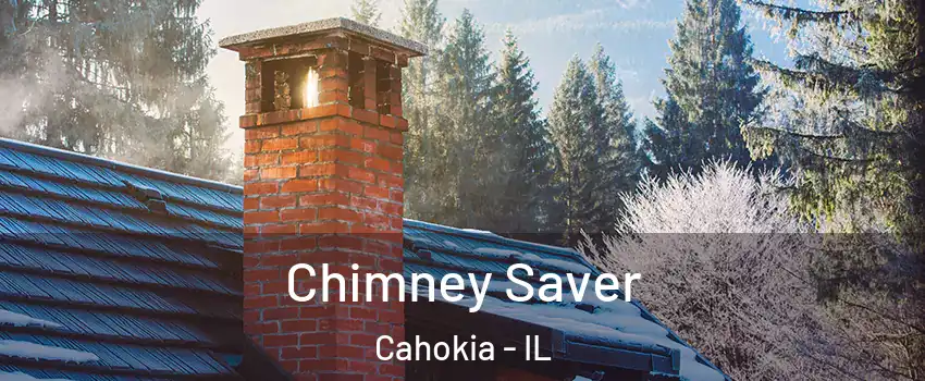  Chimney Saver Cahokia - IL