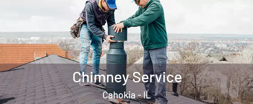  Chimney Service Cahokia - IL