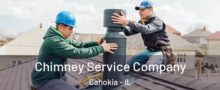  Chimney Service Company Cahokia - IL