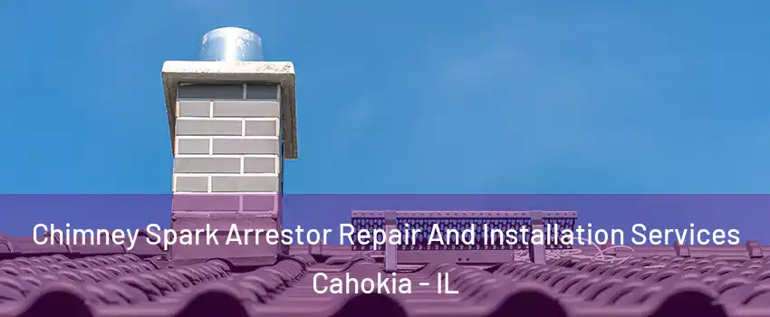  Chimney Spark Arrestor Repair And Installation Services Cahokia - IL