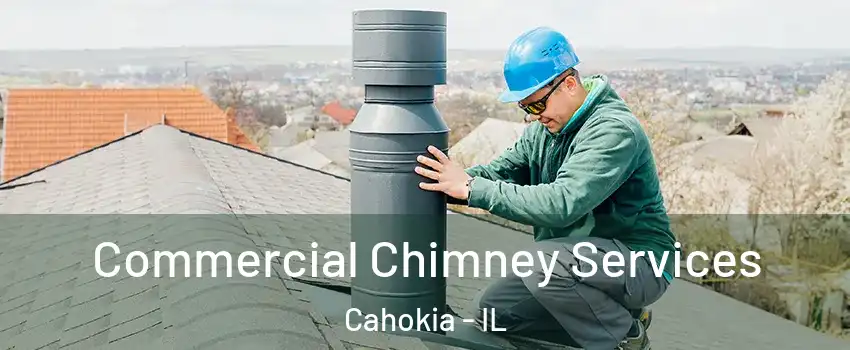  Commercial Chimney Services Cahokia - IL