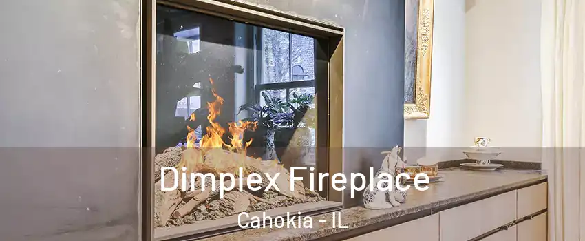  Dimplex Fireplace Cahokia - IL