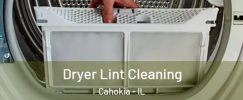  Dryer Lint Cleaning Cahokia - IL