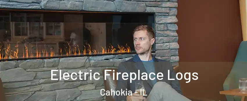  Electric Fireplace Logs Cahokia - IL