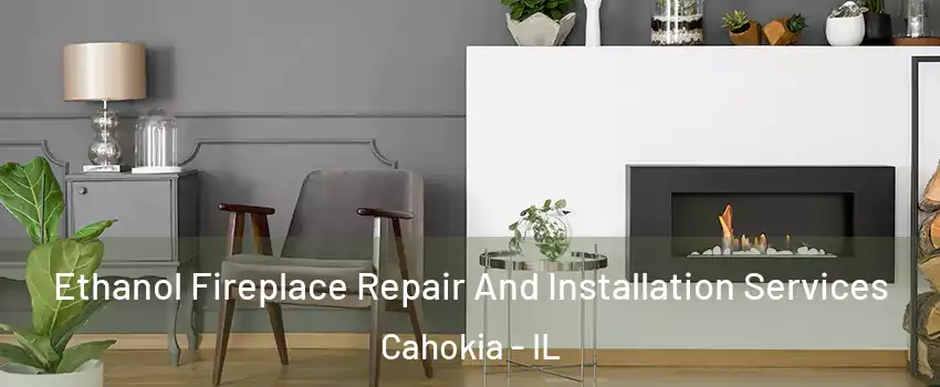  Ethanol Fireplace Repair And Installation Services Cahokia - IL