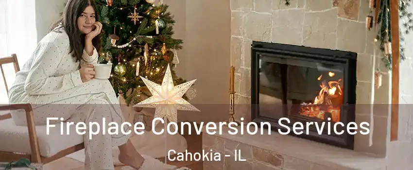  Fireplace Conversion Services Cahokia - IL