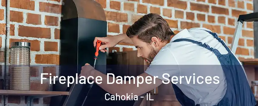  Fireplace Damper Services Cahokia - IL