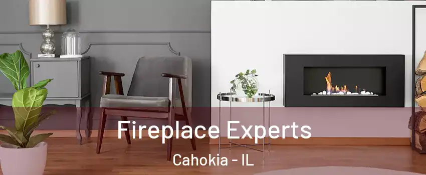  Fireplace Experts Cahokia - IL