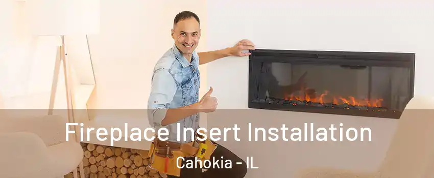 Fireplace Insert Installation Cahokia - IL
