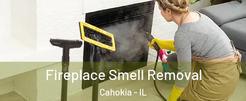  Fireplace Smell Removal Cahokia - IL
