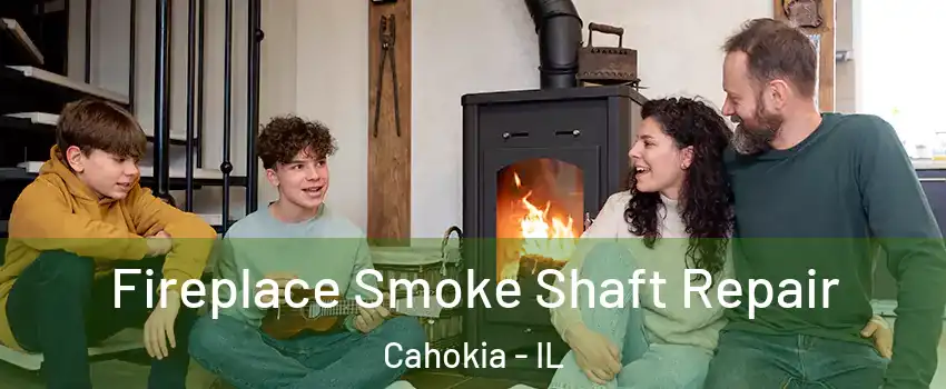  Fireplace Smoke Shaft Repair Cahokia - IL