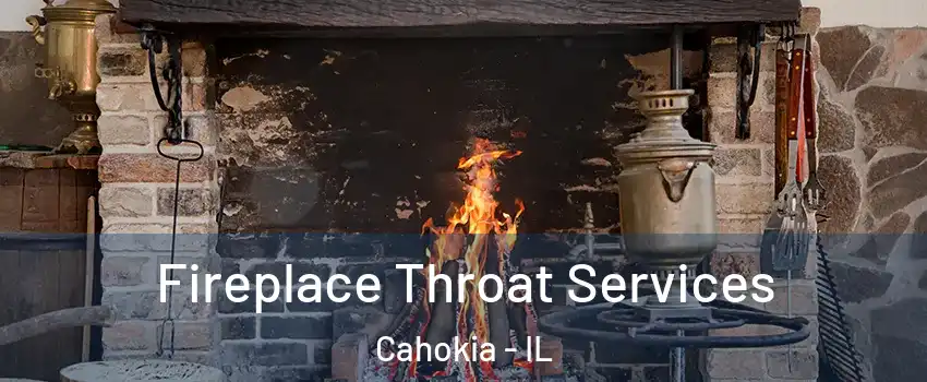  Fireplace Throat Services Cahokia - IL