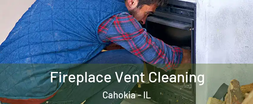  Fireplace Vent Cleaning Cahokia - IL