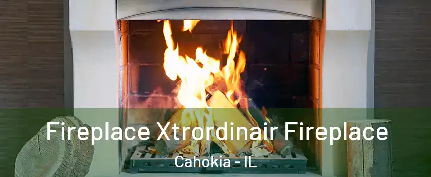  Fireplace Xtrordinair Fireplace Cahokia - IL