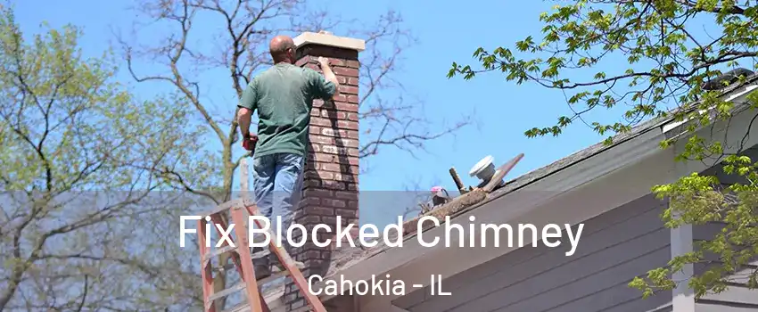  Fix Blocked Chimney Cahokia - IL