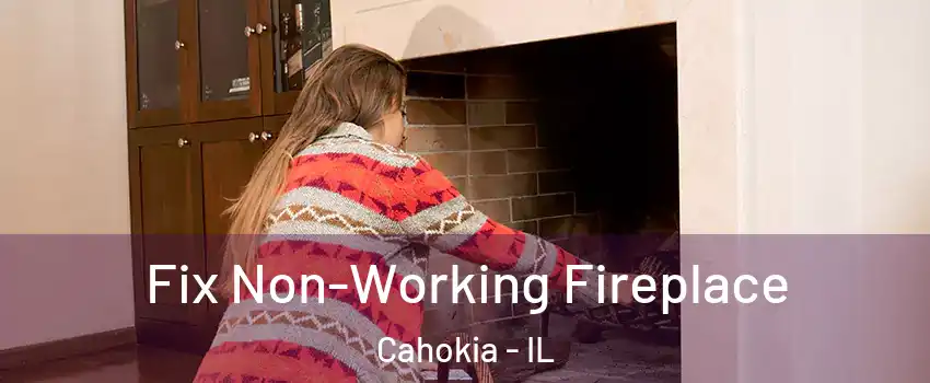  Fix Non-Working Fireplace Cahokia - IL