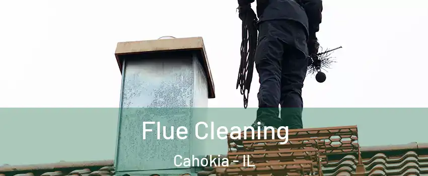  Flue Cleaning Cahokia - IL
