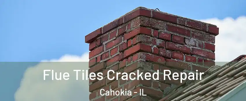  Flue Tiles Cracked Repair Cahokia - IL