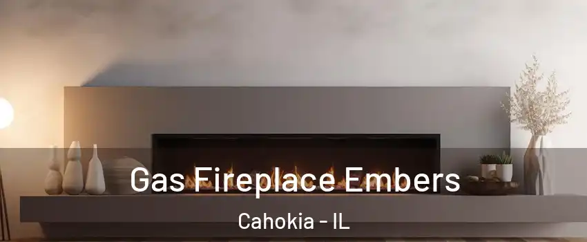  Gas Fireplace Embers Cahokia - IL