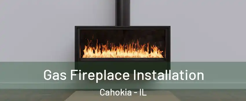  Gas Fireplace Installation Cahokia - IL