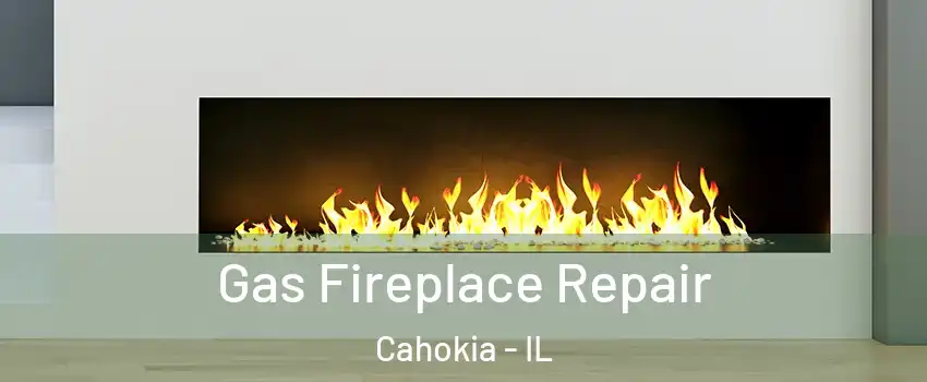  Gas Fireplace Repair Cahokia - IL