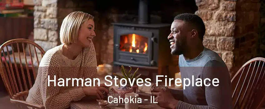  Harman Stoves Fireplace Cahokia - IL