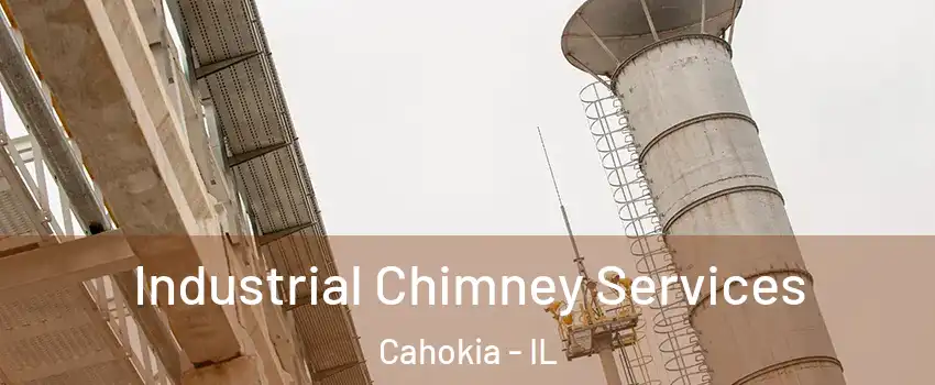  Industrial Chimney Services Cahokia - IL