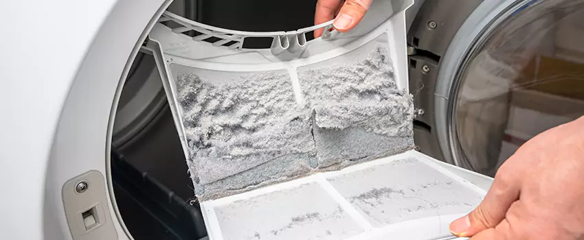 Best Dryer Lint Removal Company in Cahokia, Illinois