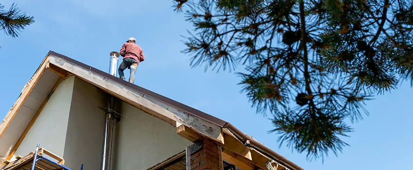 Birds Removal Contractors from Chimney in Cahokia, IL