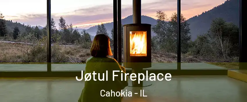  Jøtul Fireplace Cahokia - IL