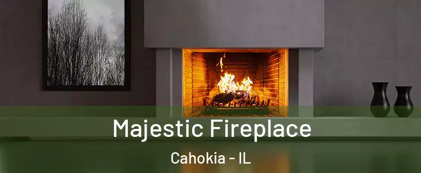  Majestic Fireplace Cahokia - IL