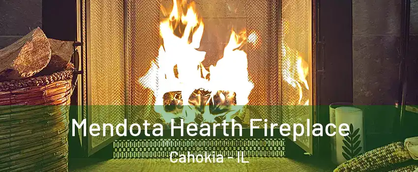  Mendota Hearth Fireplace Cahokia - IL