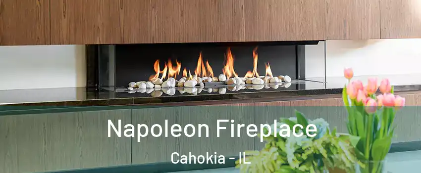  Napoleon Fireplace Cahokia - IL